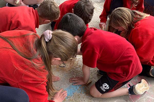 Linton Primary School - Students